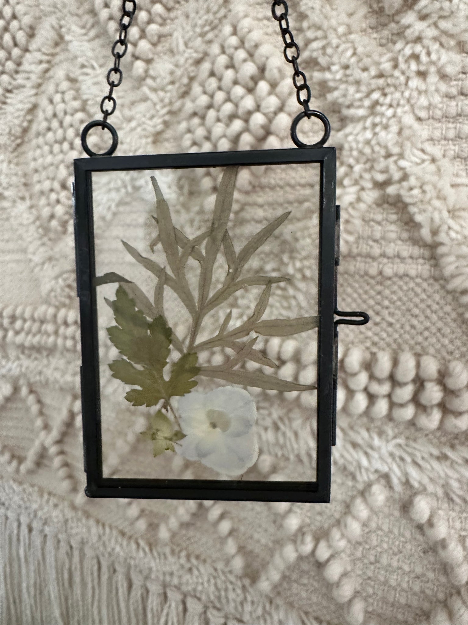 Framed Pressed Leaves - A