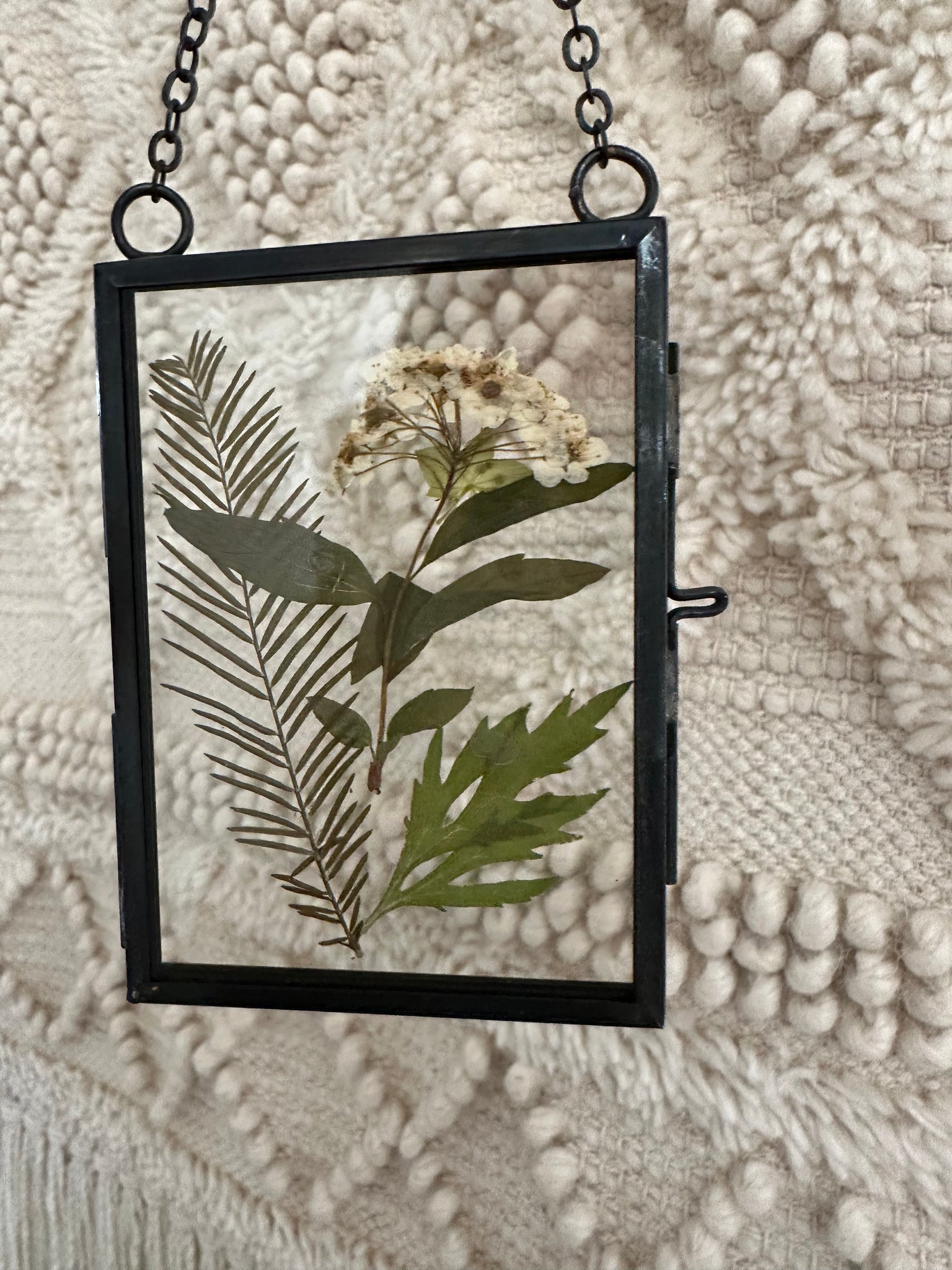 Framed Pressed Leaves - B