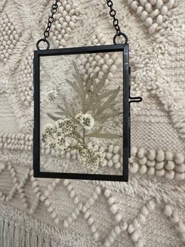 Framed Pressed Leaves - C