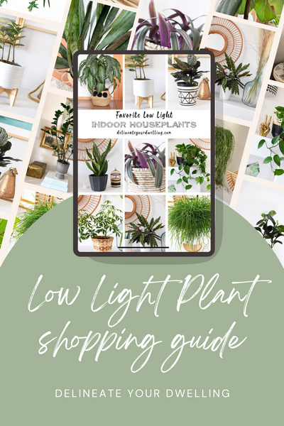 Low Light Houseplant Shopping Guide PDF