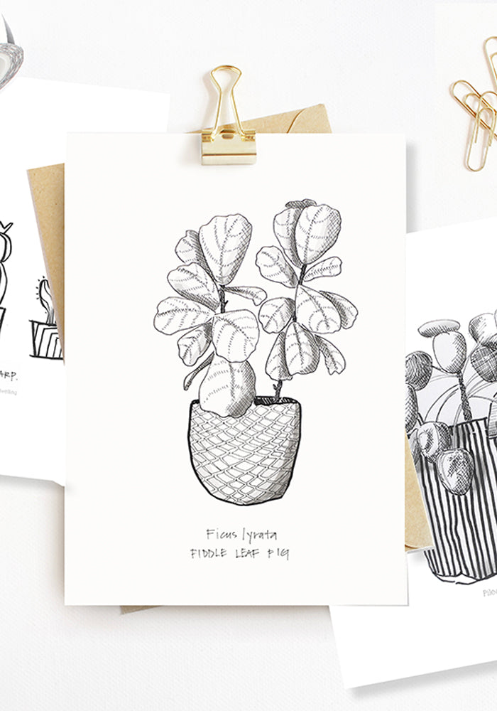 Three beautiful Black + White Plant Prints