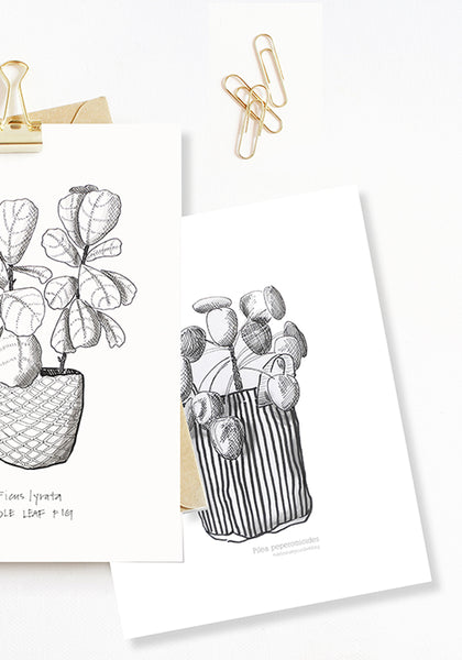 Three beautiful Black + White Plant Prints
