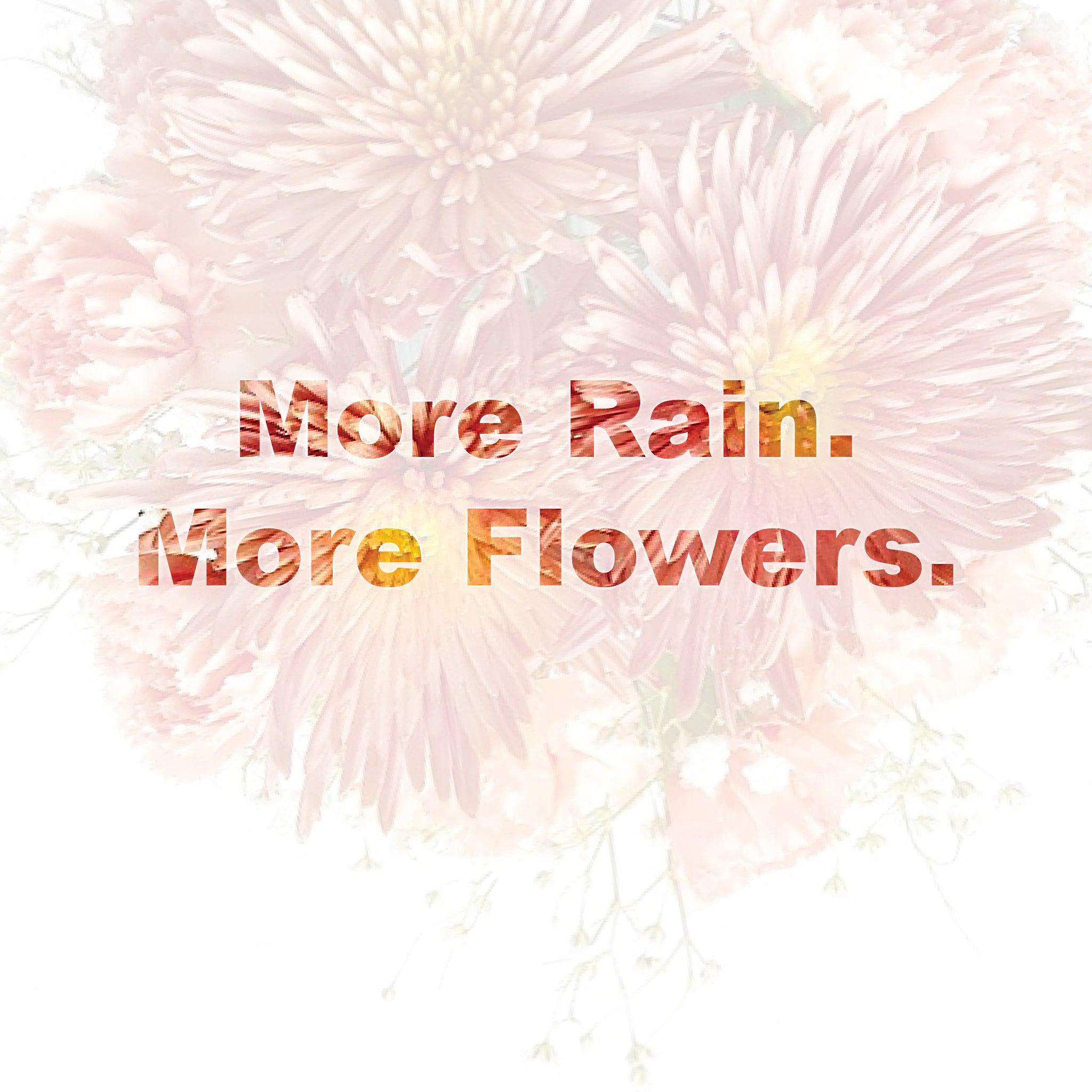 More Rain. More Flowers.