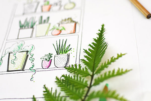 Plant Shelfie Coloring Page