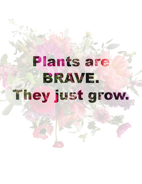 Plants are Brave.  They just grow.